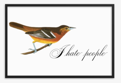 I Hate People Framed   Srcset Data - Effin Birds I Hate People, HD Png Download, Transparent PNG